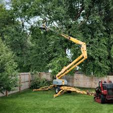 Best Fruit Tree Pruning  in Woodstock, GA